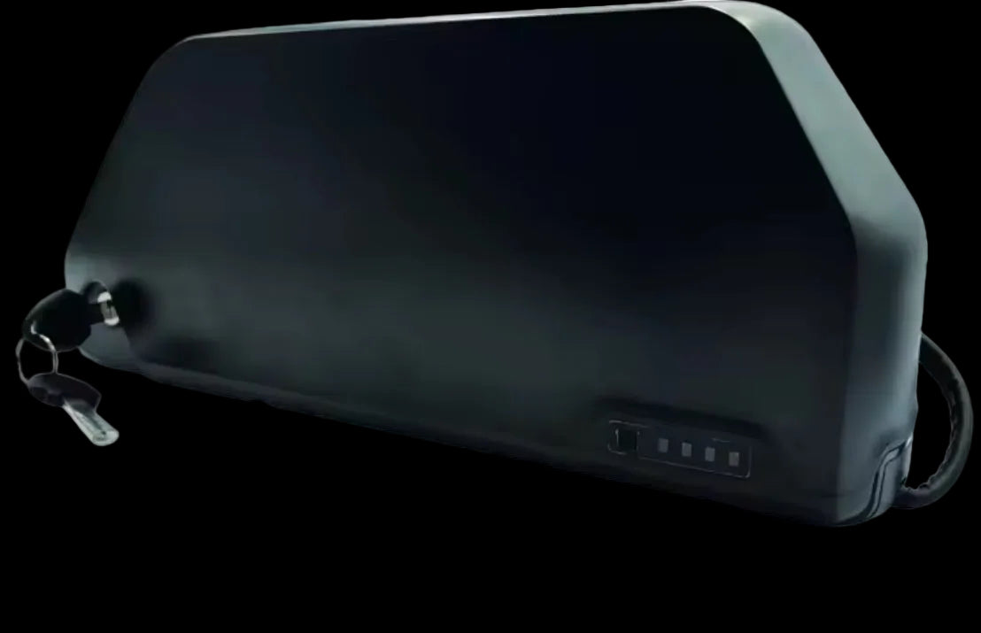 Upgraded ridstar batterys