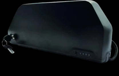 Upgraded ridstar batterys