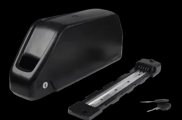 Upgraded ridstar batterys